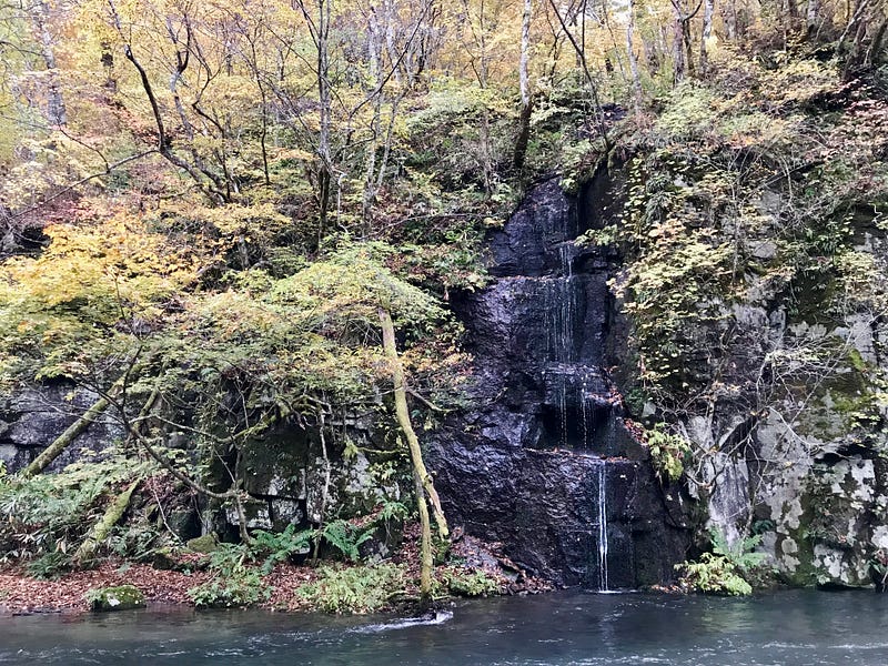 Many -tiered small waterfall among green and yellow foliage.