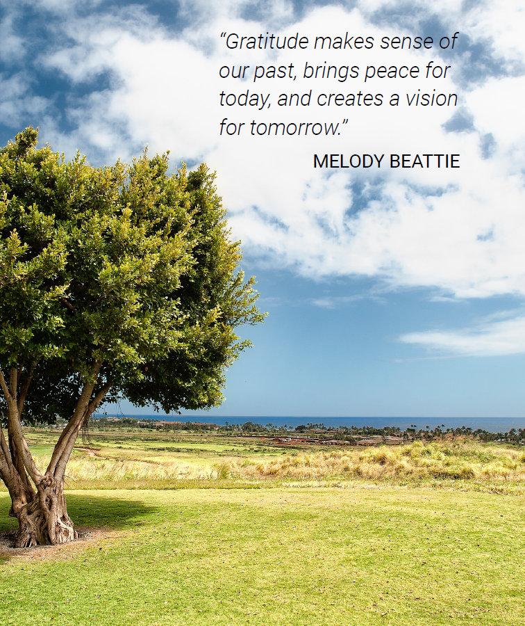 Picture with gratitude quote.