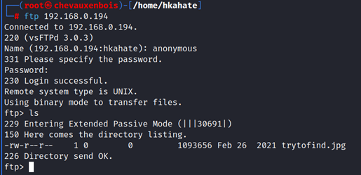 Scanning the open FTP port.