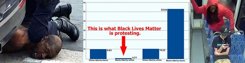 Black on White Crime in America