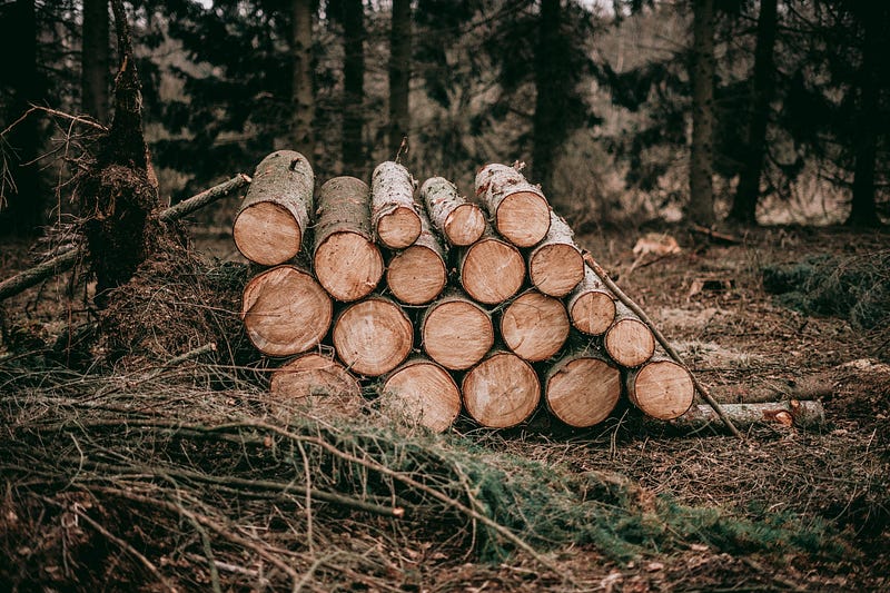 Prettify Your Python Logs with Loguru