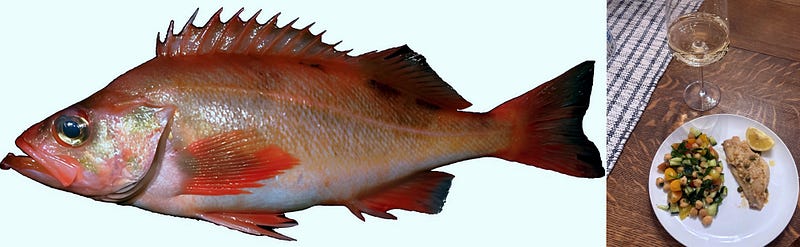 Red Gold of the Pacific: The Life and Legacy of the Pacific Ocean Perch (Sebastes alutus)