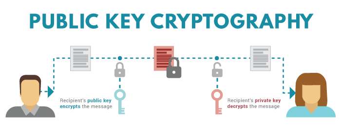 crypto currency wallet losing your private keys