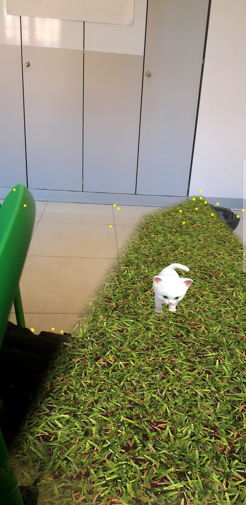 Virtual Cat on our real world Preview