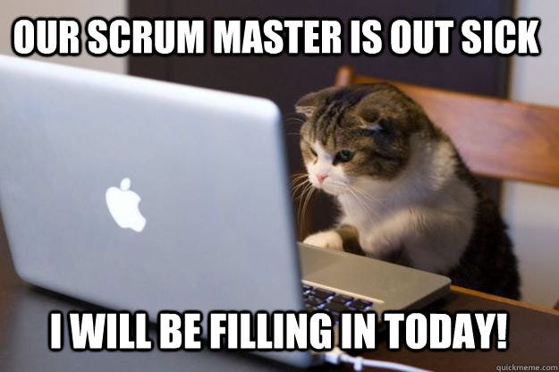 Lessons learned using SCRUM