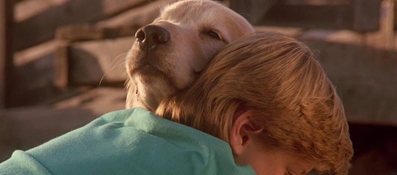 “Perfectly Happy, Even Without Happy Endings”