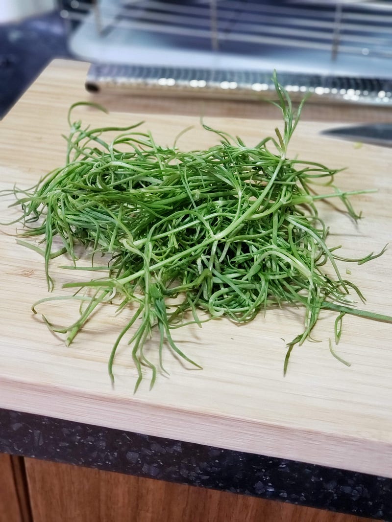 Salt Sandspurry (세발나물)
