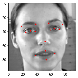 Plotted image along with key facial points