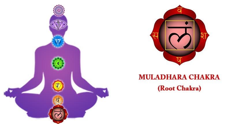 Muladhara chakra in hindi, Chakra meditation, Root chakras, Chakras in body, Guide to the 7 Chakras and Their Meanings