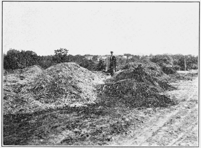 A man standing among large piles of horse manure.