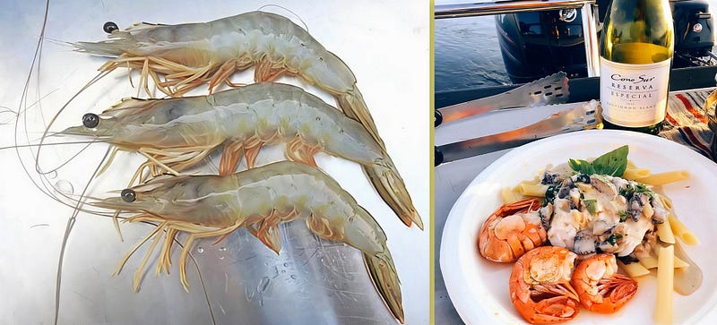 Banana Prawn: A Culinary Treasure Bridging Ecology and Gastronomy