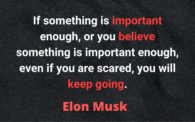 Entrepreneur Quotes — Elon Musk