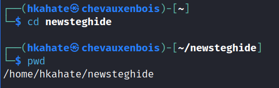 Going to the new directory and verifying the same