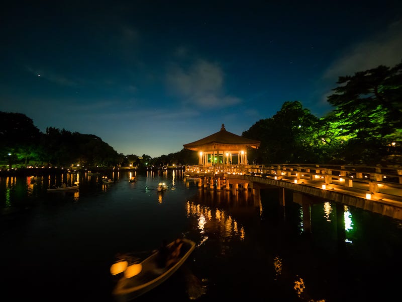 The Nara Tokae illuminations in Nara Park just after sunset