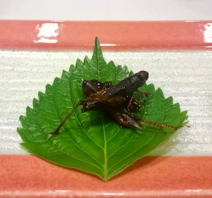 Fried grasshoppers on a perilla leaf are the most exotic food I have ever eaten.
