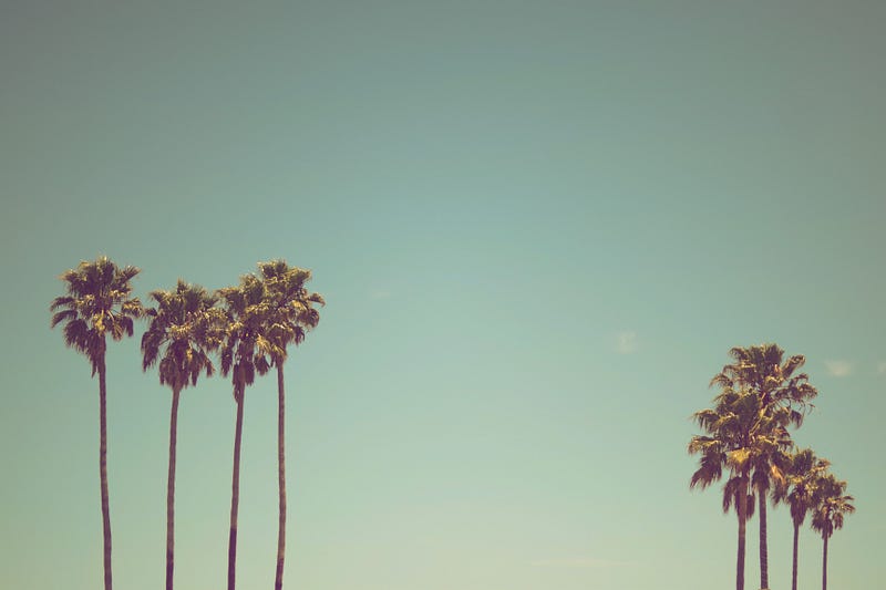 1*6BkgXZpF8Jb7cj9XtJJORw