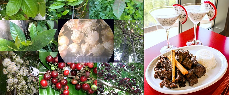 The Secret of Salam: Unveiling the Indonesian Bay Leaf’s Botanical and Culinary Soul