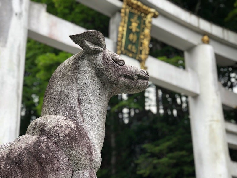 A guardian wolf statue in front of an iconic torii gate at Chichibu’s Mitsumine Shrine in Saitama Prefecture