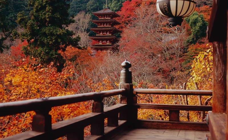 Nara Prefecture’s Hase-dera amidst the vibrant colors of autumn