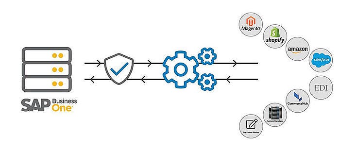 sap in india