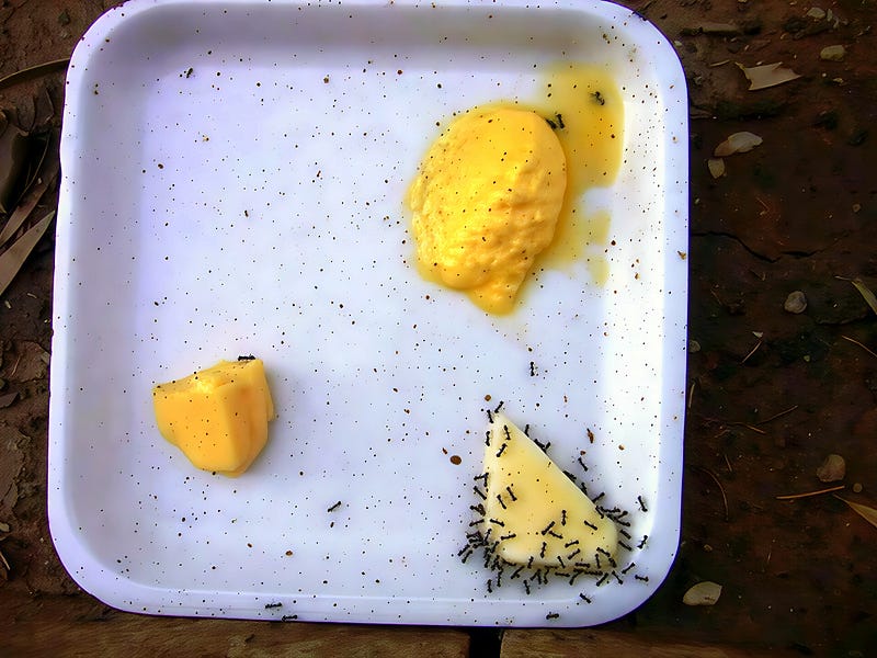 The False Ontology of Ethical Butter: How Synthetic Lipids Betray Being in the Name of Progress
