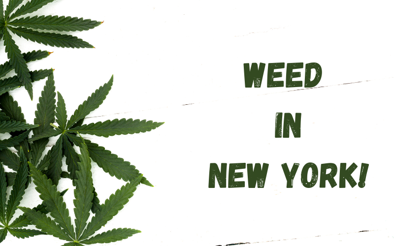 Weed in New York