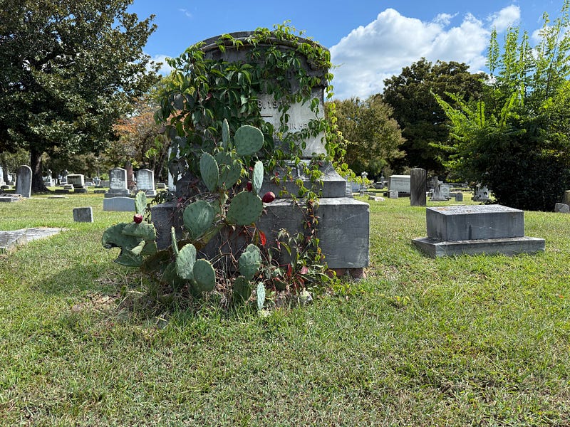 Storied Stones: A Eulogy for a Life Unknown