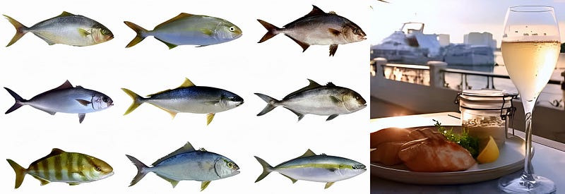 Kings of the Blue: The Allure of Amberjack