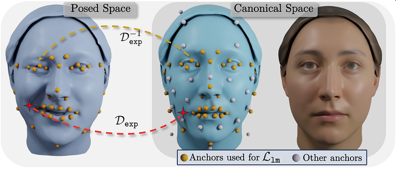 A figure showing the now textured NPHM on the right. The left-hand side shows the forward and reverse deformation fields that allow for correspondence between the canonical space and posed. Image from the arxiv paper of MonoNPHM.