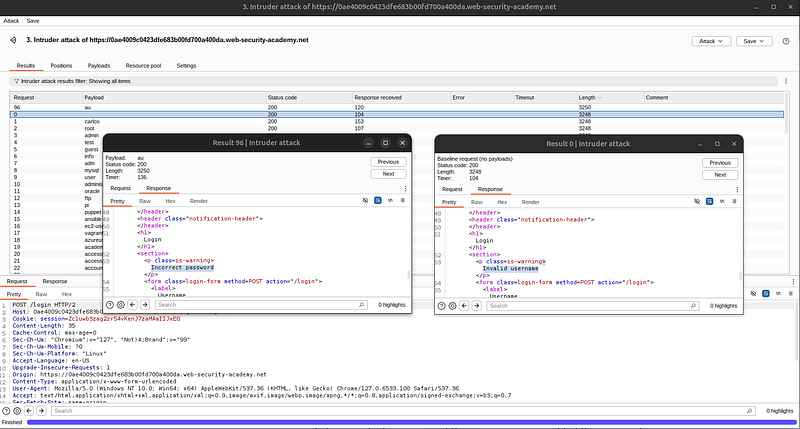 burp suite intruder brute force response