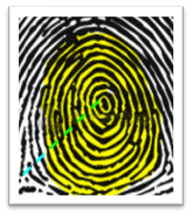 left fingerprint