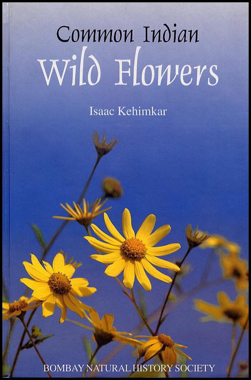 The Butterflies of India An interview with Isaac Kehimkar