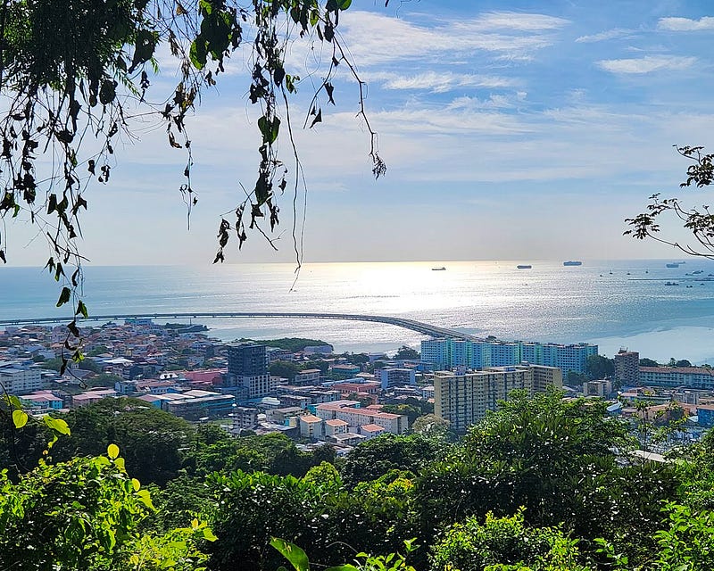 View of the Pacific coastline from above. Foliage in the foreground. In the midground a cityscape and beyond that the ocean reflecting the morning sunlight. A few boats dot the ocean near the horizon.
