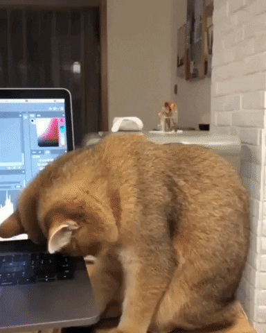 Animated comparison of XML and Compose ConstraintLayout code
