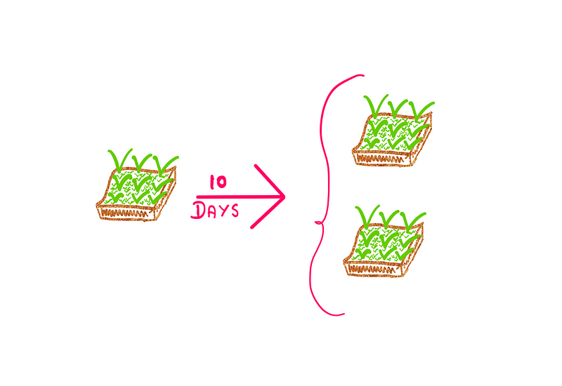 Solving the doubling puzzle faster: On the left, there is one patch of grass. After 10 days, on the right, there are 2 patches of grass.