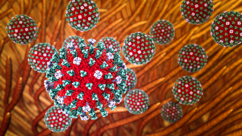 Coronavirus Zoom Background