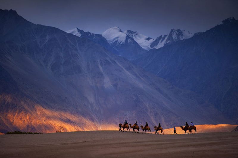 Ladakh Nubra Valley