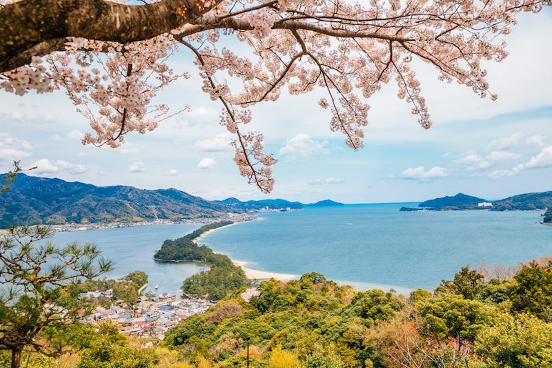 Kyoto’s Amanohashidate during the cherry blossom season