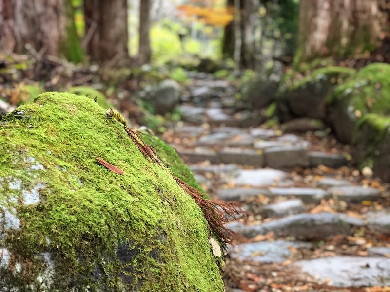 The stone steps of Nikko’s Takino-o Path in Tochigi Prefecture