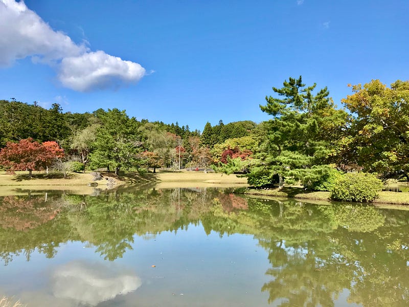 Pond reflecting the sky and surrounding trees.