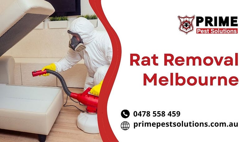 rat removal Melbourne