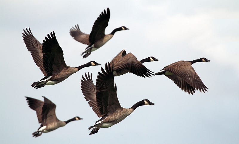 Migrating  From WCF to gRPC