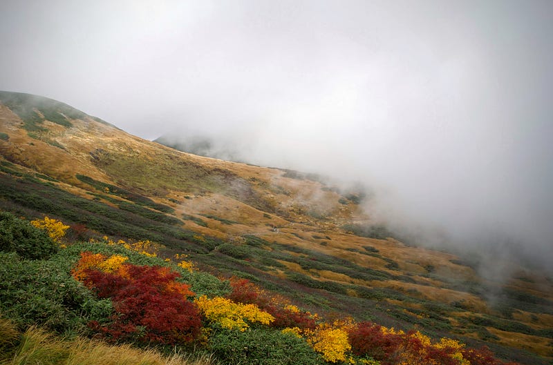 Bright reds and yellows in the foreground light up a cloudy landscape on Mt. Ubagatake