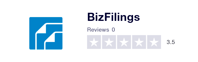 Customer Reviews about BizFilings 