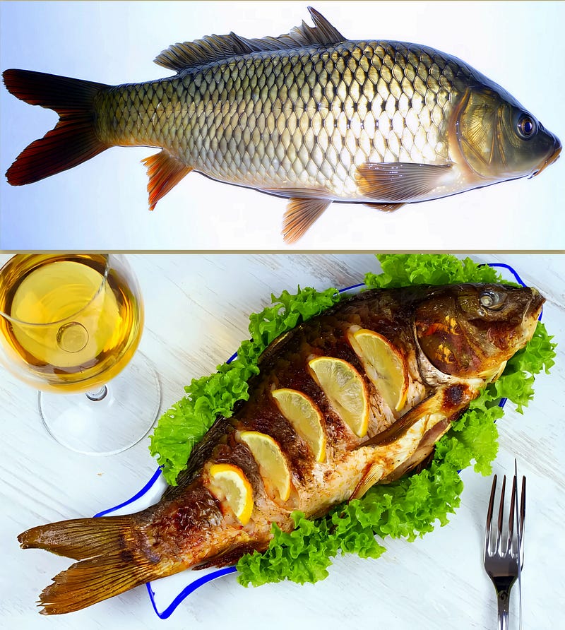 Golden Scales, Global Tables: The Enduring Legacy of the Carp
