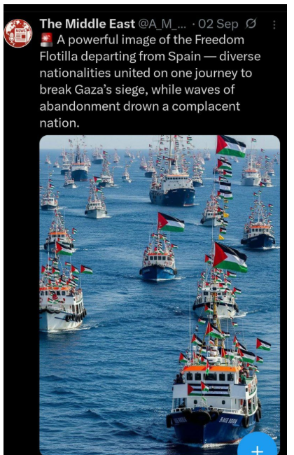 PARTLY FALSE: The video purporting to show the Freedom Flotilla ...