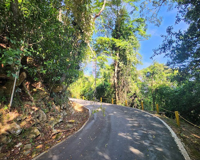 A paved trail, lined on both sides by trees and plants, curves out of sight around a bend.