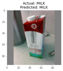 predictions made by the model on the test data