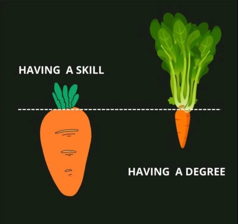 Two carrots — one with ‘having a skill’ as the caption — large carrot underground and small greens above, the other with ‘having a degree’ as the caption with small carrot underground and lots of greens above.