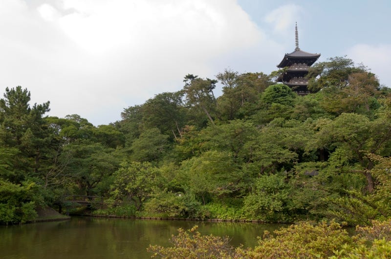 The pagoda at Yokohama’s Sankei-en traditional Japanese gardens